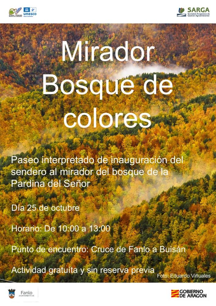Imagen Mirador Bosque de colores